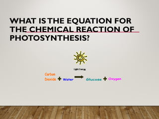 WHAT ISTHE EQUATION FOR
THE CHEMICAL REACTION OF
PHOTOSYNTHESIS?
 