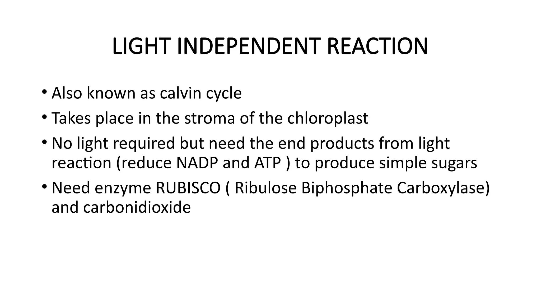 LIGHT INDEPENDENT REACTION
• Also known as calvin cycle
• Takes place in the stroma of the chloroplast
• No light required but need the end products from light
reaction (reduce NADP and ATP ) to produce simple sugars
• Need enzyme RUBISCO ( Ribulose Biphosphate Carboxylase)
and carbonidioxide
 