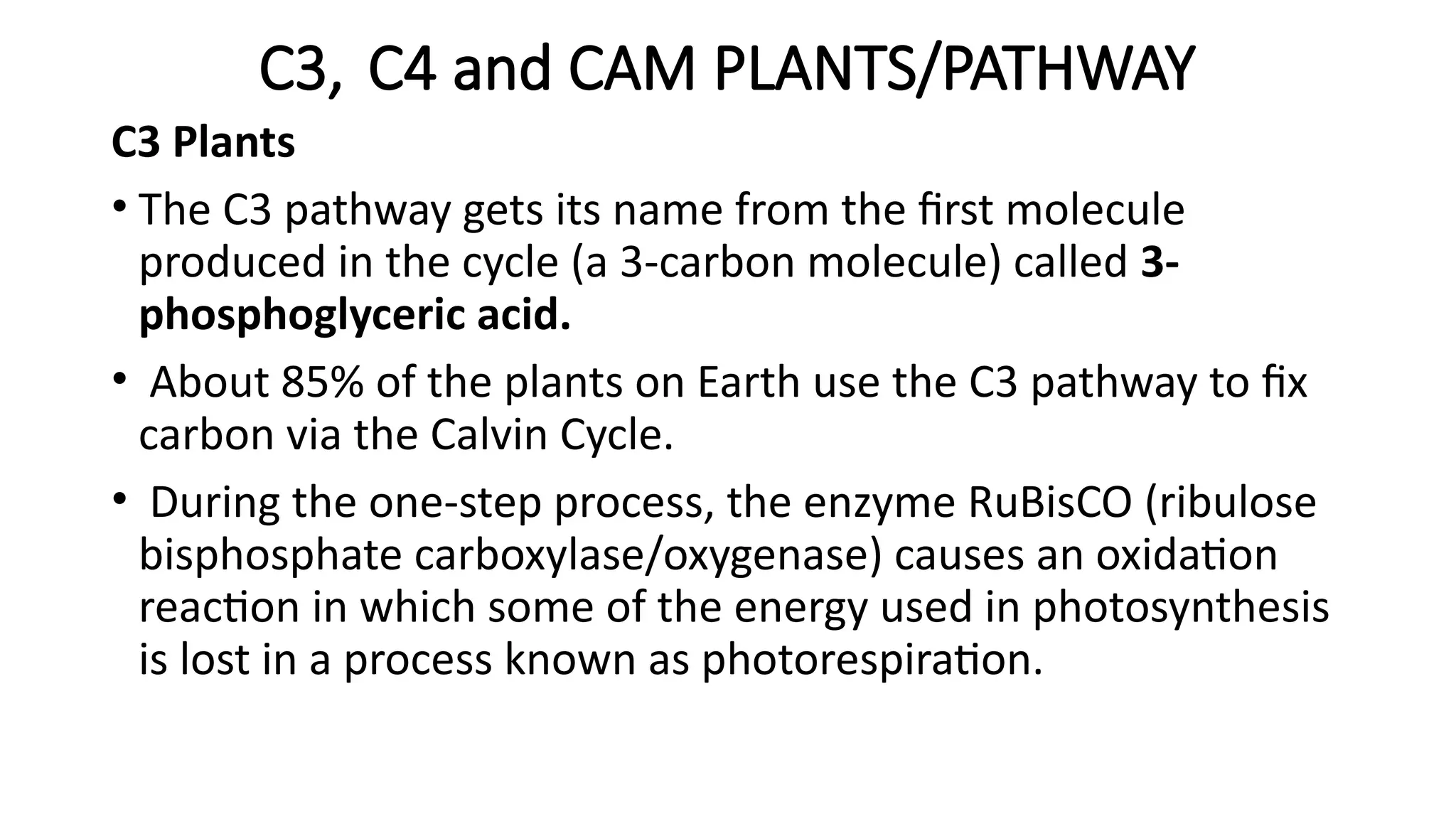 C3, C4 and CAM PLANTS/PATHWAY
C3 Plants
• The C3 pathway gets its name from the first molecule
produced in the cycle (a 3-carbon molecule) called 3-
phosphoglyceric acid.
• About 85% of the plants on Earth use the C3 pathway to fix
carbon via the Calvin Cycle.
• During the one-step process, the enzyme RuBisCO (ribulose
bisphosphate carboxylase/oxygenase) causes an oxidation
reaction in which some of the energy used in photosynthesis
is lost in a process known as photorespiration.
 