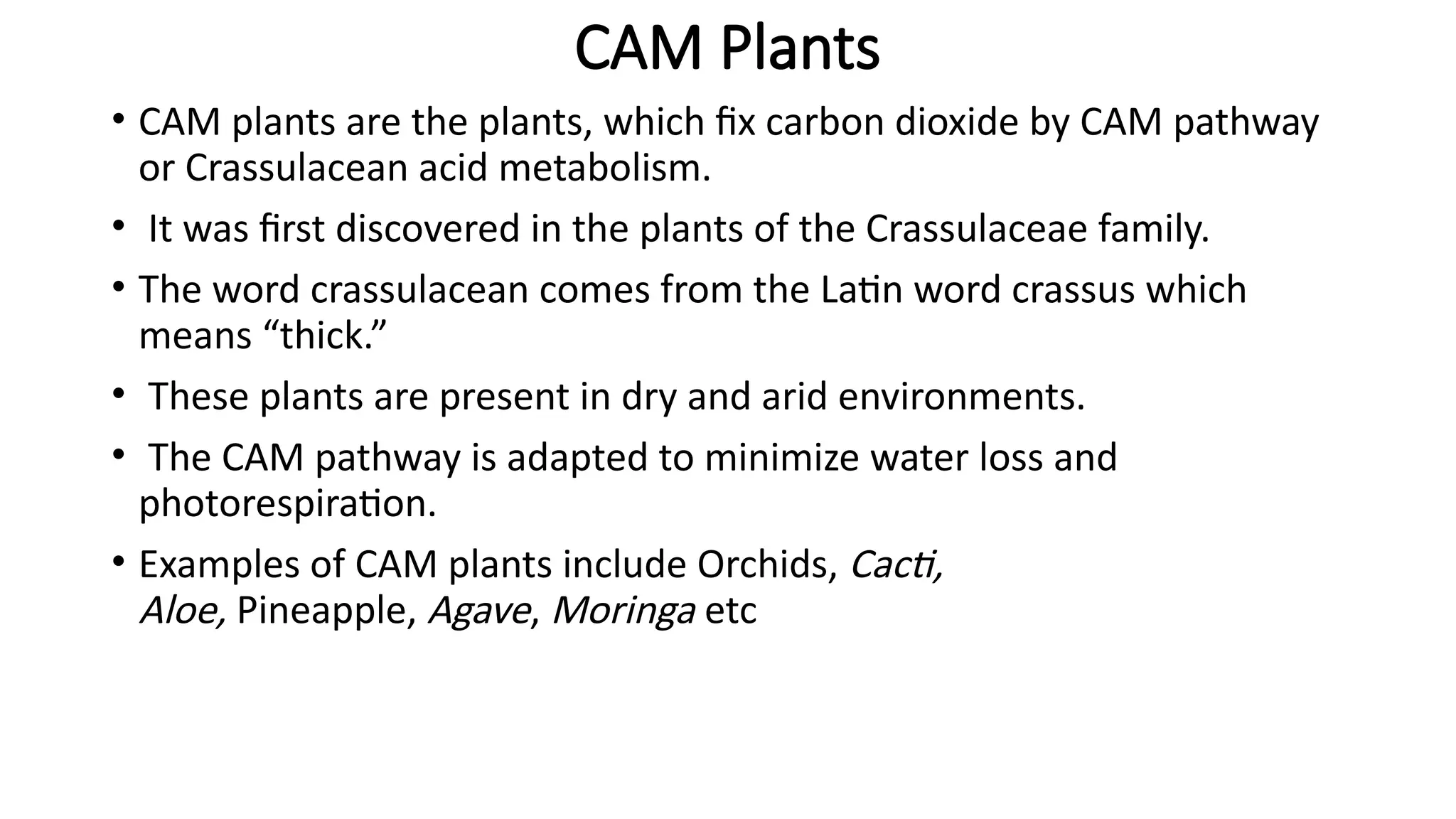 CAM Plants
• CAM plants are the plants, which fix carbon dioxide by CAM pathway
or Crassulacean acid metabolism.
• It was first discovered in the plants of the Crassulaceae family.
• The word crassulacean comes from the Latin word crassus which
means “thick.”
• These plants are present in dry and arid environments.
• The CAM pathway is adapted to minimize water loss and
photorespiration.
• Examples of CAM plants include Orchids, Cacti,
Aloe, Pineapple, Agave, Moringa etc
 