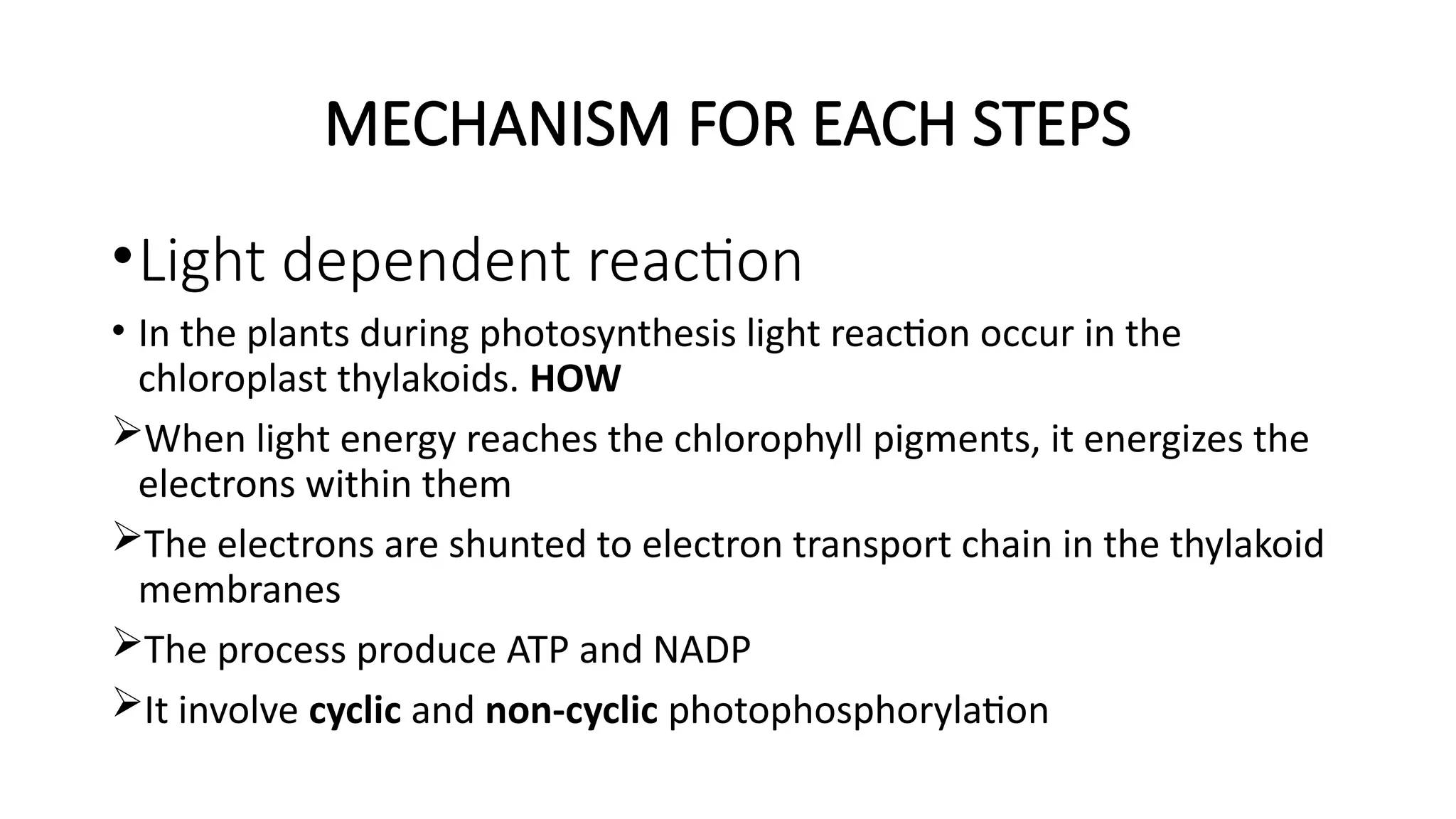 MECHANISM FOR EACH STEPS
•Light dependent reaction
• In the plants during photosynthesis light reaction occur in the
chloroplast thylakoids. HOW
When light energy reaches the chlorophyll pigments, it energizes the
electrons within them
The electrons are shunted to electron transport chain in the thylakoid
membranes
The process produce ATP and NADP
It involve cyclic and non-cyclic photophosphorylation
 