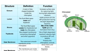 Comprehensive Overview of Photosynthesis: Processes and Mechanisms | PPTX