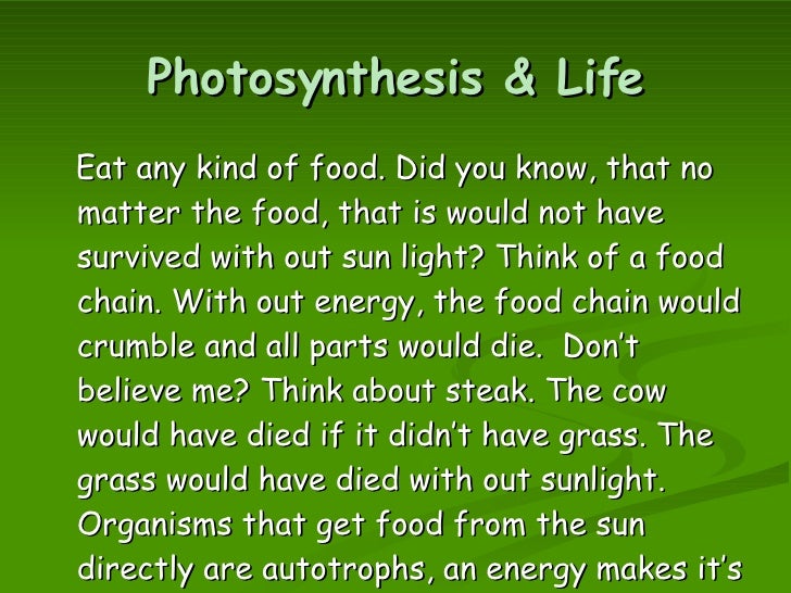 Any Organism That Makes It S Own Food Any Organism That Makes It S Own Food