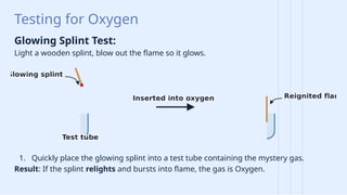 Photosynthesis and the Oxygen Shift: How Primitive Plants Transformed ...