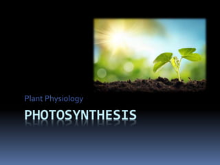 PHOTOSYNTHESIS
Plant Physiology
 
