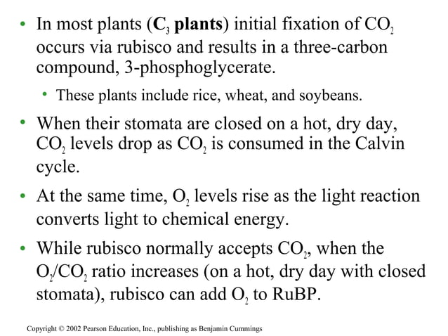 Photosynthesis carbon fixation | PPT
