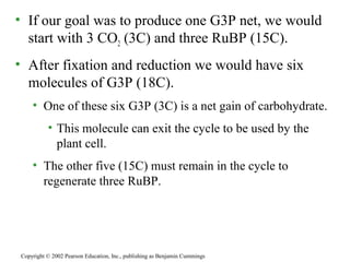 • If our goal was to produce one G3P net, we would
start with 3 CO2 (3C) and three RuBP (15C).
• After fixation and reduction we would have six
molecules of G3P (18C).
• One of these six G3P (3C) is a net gain of carbohydrate.
• This molecule can exit the cycle to be used by the
plant cell.
• The other five (15C) must remain in the cycle to
regenerate three RuBP.
Copyright © 2002 Pearson Education, Inc., publishing as Benjamin Cummings
 