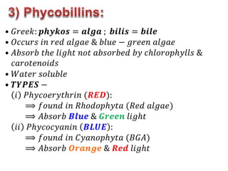 • 𝐺𝑟𝑒𝑒𝑘: 𝒑𝒉𝒚𝒌𝒐𝒔 = 𝒂𝒍𝒈𝒂 ; 𝒃𝒊𝒍𝒊𝒔 = 𝒃𝒊𝒍𝒆
• 𝑂𝑐𝑐𝑢𝑟𝑠 𝑖𝑛 𝑟𝑒𝑑 𝑎𝑙𝑔𝑎𝑒 & 𝑏𝑙𝑢𝑒 − 𝑔𝑟𝑒𝑒𝑛 𝑎𝑙𝑔𝑎𝑒
• 𝐴𝑏𝑠𝑜𝑟𝑏 𝑡ℎ𝑒 𝑙𝑖𝑔ℎ𝑡 𝑛𝑜𝑡 𝑎𝑏𝑠𝑜𝑟𝑏𝑒𝑑 𝑏𝑦 𝑐ℎ𝑙𝑜𝑟𝑜𝑝ℎ𝑦𝑙𝑙𝑠 &
𝑐𝑎𝑟𝑜𝑡𝑒𝑛𝑜𝑖𝑑𝑠
• 𝑊𝑎𝑡𝑒𝑟 𝑠𝑜𝑙𝑢𝑏𝑙𝑒
• 𝑻𝒀𝑷𝑬𝑺 −
𝑖 𝑃ℎ𝑦𝑐𝑜𝑒𝑟𝑦𝑡ℎ𝑟𝑖𝑛 (𝑹𝑬𝑫):
⟹ 𝑓𝑜𝑢𝑛𝑑 𝑖𝑛 𝑅ℎ𝑜𝑑𝑜𝑝ℎ𝑦𝑡𝑎 (𝑅𝑒𝑑 𝑎𝑙𝑔𝑎𝑒)
⟹ 𝐴𝑏𝑠𝑜𝑟𝑏 𝑩𝒍𝒖𝒆 & 𝑮𝒓𝒆𝒆𝒏 𝑙𝑖𝑔ℎ𝑡
𝑖𝑖 𝑃ℎ𝑦𝑐𝑜𝑐𝑦𝑎𝑛𝑖𝑛 𝑩𝑳𝑼𝑬 :
⟹ 𝑓𝑜𝑢𝑛𝑑 𝑖𝑛 𝐶𝑦𝑎𝑛𝑜𝑝ℎ𝑦𝑡𝑎 (𝐵𝐺𝐴)
⟹ 𝐴𝑏𝑠𝑜𝑟𝑏 𝑶𝒓𝒂𝒏𝒈𝒆 & 𝑹𝒆𝒅 𝑙𝑖𝑔ℎ𝑡
 