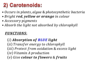 • 𝑂𝑐𝑐𝑢𝑟𝑠 𝑖𝑛 𝑝𝑙𝑎𝑛𝑡𝑠, 𝑎𝑙𝑔𝑎𝑒 & 𝑝ℎ𝑜𝑡𝑜𝑠𝑦𝑛𝑡ℎ𝑒𝑡𝑖𝑐 𝑏𝑎𝑐𝑡𝑒𝑟𝑖𝑎
• 𝐵𝑟𝑖𝑔ℎ𝑡 𝒓𝒆𝒅, 𝒚𝒆𝒍𝒍𝒐𝒘 𝒐𝒓 𝒐𝒓𝒂𝒏𝒈𝒆 𝑖𝑛 𝑐𝑜𝑙𝑜𝑢𝑟
• 𝐴𝑐𝑐𝑒𝑠𝑠𝑜𝑟𝑦 𝑝𝑖𝑔𝑚𝑒𝑛𝑡𝑠
• 𝐴𝑏𝑠𝑜𝑟𝑏 𝑡ℎ𝑒 𝑙𝑖𝑔ℎ𝑡 𝑛𝑜𝑡 𝑎𝑏𝑠𝑜𝑟𝑏𝑒𝑑 𝑏𝑦 𝑐ℎ𝑙𝑜𝑟𝑜𝑝ℎ𝑦𝑙𝑙
𝑭𝑼𝑵𝑪𝑻𝑰𝑶𝑵𝑺:
𝑖 𝑨𝒃𝒔𝒐𝒓𝒑𝒕𝒊𝒐𝒏 𝒐𝒇 𝑩𝑳𝑼𝑬 𝒍𝒊𝒈𝒉𝒕
𝑖𝑖 𝑇𝑟𝑎𝑛𝑠𝑓𝑒𝑟 𝑒𝑛𝑒𝑟𝑔𝑦 𝑡𝑜 𝑐ℎ𝑙𝑜𝑟𝑜𝑝ℎ𝑦𝑙𝑙
𝑖𝑖𝑖 𝑃𝑟𝑜𝑡𝑒𝑐𝑡 𝑓𝑟𝑜𝑚 𝑜𝑥𝑖𝑑𝑎𝑡𝑖𝑜𝑛 & 𝑒𝑥𝑐𝑒𝑠𝑠 𝑙𝑖𝑔ℎ𝑡
𝑖𝑣 𝑉𝑖𝑡𝑎𝑚𝑖𝑛 𝐴 𝑝𝑟𝑜𝑑𝑢𝑐𝑡𝑖𝑜𝑛
𝑣 𝐺𝑖𝑣𝑒 𝒄𝒐𝒍𝒐𝒖𝒓 𝒕𝒐 𝒇𝒍𝒐𝒘𝒆𝒓𝒔 & 𝒇𝒓𝒖𝒊𝒕𝒔
 