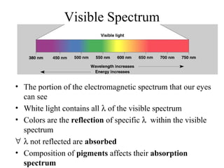 Visible Spectrum
• The portion of the electromagnetic spectrum that our eyes
can see
• White light contains all λ of the visible spectrum
• Colors are the reflection of specific λ within the visible
spectrum
∀ λ not reflected are absorbed
• Composition of pigments affects their absorption
spectrum
 