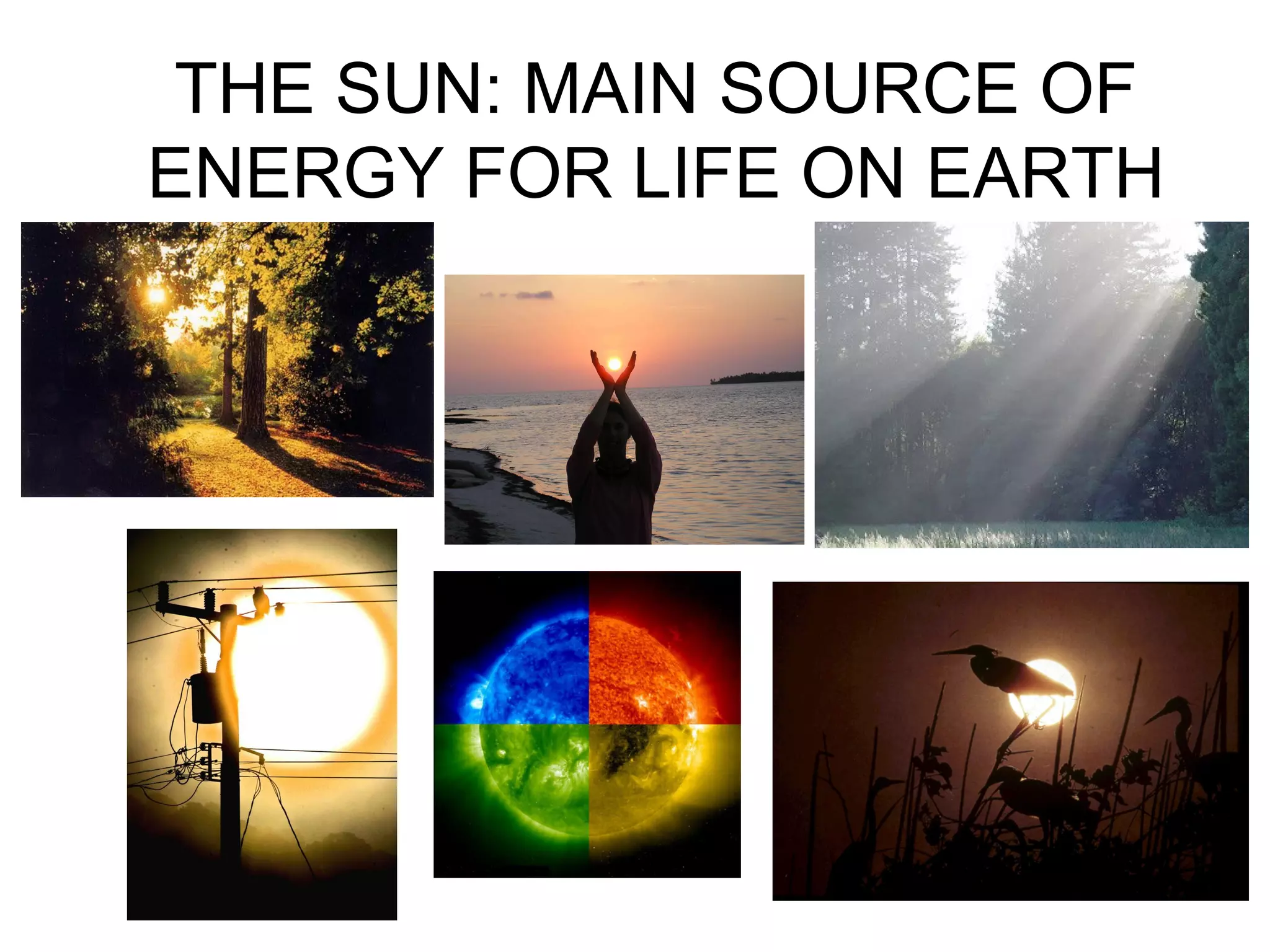 THE SUN: MAIN SOURCE OF
ENERGY FOR LIFE ON EARTH
 