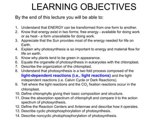 By the end of this lecture you will be able to:
1. Understand that ENERGY can be transformed from one form to another.
2. Know that energy exist in two forms; free energy - available for doing work
or as heat - a form unavailable for doing work.
3. Appreciate that the Sun provides most of the energy needed for life on
Earth.
4. Explain why photosynthesis is so important to energy and material flow for
life on earth.
5. Know why plants tend to be green in appearance.
6. Equate the organelle of photosynthesis in eukaryotes with the chloroplast.
7. Describe the organization of the chloroplast.
8. Understand that photosynthesis is a two fold process composed of the
light-dependent reactions (i.e., light reactions) and the light
independent reactions (i.e. Calvin Cycle or Dark Reactions).
9. Tell where the light reactions and the CO2 fixation reactions occur in the
chloroplast.
10. Define chlorophylls giving their basic composition and structure.
11. Draw the absorption spectrum of chlorophyll and compare it to the action
spectrum of photosynthesis.
12. Define the Reaction Centers and Antennae and describe how it operates.
13. Describe cyclic photophosphorylation of photosynthesis.
14. Describe noncyclic photophosphorylation of photosynthesis.
LEARNING OBJECTIVES
 