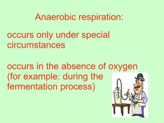 Anaerobic respiration: occurs only under special circumstances   occurs in the absence of oxygen (for example: during the fermentation process) 