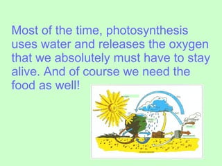 Most of the time, photosynthesis uses water and releases the oxygen that we absolutely must have to stay alive. And of course we need the food as well! 