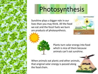 Plants turn solar energy into food
which is nice of them because
animals can’t eat sunshine.
Sunshine plays a bigger role in our
lives than you may think. All the food
we eat and the fossil fuels we burn
are products of photosynthesis.
When animals eat plants and other animals,
that original solar energy is passed along
the food chain.
Photosynthesis
 