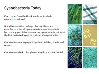 Photosynthesis-Presentation-NXPowerLite.pptx
