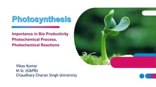 Importance in Bio Productivity
Photochemical Process,
Photochemical Reactions
Vikas Kumar
M.Sc (G&PB)
Chaudhary Charan Singh University
 