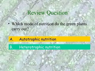 Review Question
• Which mode of nutrition do the green plants
  carry out?

A.    Autotrophic nutrition

B.    Heterotrophic nutrition
 