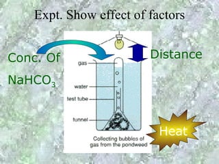 Expt. Show effect of factors


Conc. Of                 Distance

NaHCO3



                           Heat
 