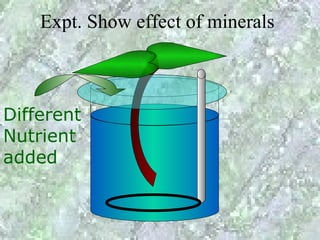Expt. Show effect of minerals



Different
Nutrient
added
 