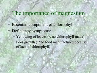 The importance of magnesium
• Essential component of chlorophyll
• Deficiency symptoms:
  – Yellowing of leaves (no chlorophyll made)
  – Poor growth (no food manufactured because
    of lack of chlorophyll)
 