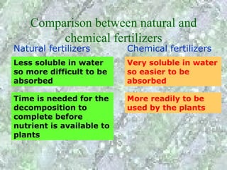 Comparison between natural and
         chemical fertilizers
Natural fertilizers        Chemical fertilizers
Less soluble in water      Very soluble in water
so more difficult to be    so easier to be
absorbed                   absorbed

Time is needed for the     More readily to be
decomposition to           used by the plants
complete before
nutrient is available to
plants
 