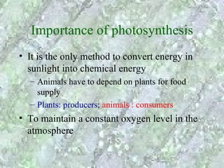 Importance of photosynthesis
• It is the only method to convert energy in
  sunlight into chemical energy
  – Animals have to depend on plants for food
    supply
  – Plants: producers; animals : consumers
• To maintain a constant oxygen level in the
  atmosphere
 