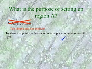What is the purpose of setting up
             region A?
 • As a control
    Too simple and not explicit!
To show that photosynthesis cannot take place in the absence of
light
 