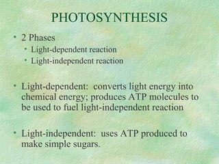 PHOTOSYNTHESIS
• 2 Phases
• Light-dependent reaction
• Light-independent reaction
• Light-dependent: converts light energy into
chemical energy; produces ATP molecules to
be used to fuel light-independent reaction
• Light-independent: uses ATP produced to
make simple sugars.
 