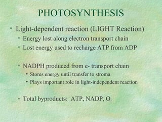 PHOTOSYNTHESIS
• Light-dependent reaction (LIGHT Reaction)
• Energy lost along electron transport chain
• Lost energy used to recharge ATP from ADP
• NADPH produced from e- transport chain
• Stores energy until transfer to stroma
• Plays important role in light-independent reaction
• Total byproducts: ATP, NADP, O2
 