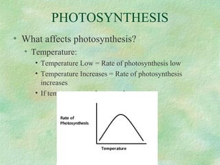 PHOTOSYNTHESIS
• What affects photosynthesis?
• Temperature:
• Temperature Low = Rate of photosynthesis low
• Temperature Increases = Rate of photosynthesis
increases
• If temperature too hot, rate drops
 