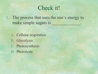 Check it!
1. The process that uses the sun’s energy to
make simple sugars is _____________.
A. Cellular respiration
B. Glycolysis
C. Photosynthesis
D. Photolysis
 