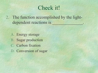 Check it!
2. The function accomplished by the light-
dependent reactions is ______________.
A. Energy storage
B. Sugar production
C. Carbon fixation
D. Conversion of sugar
 