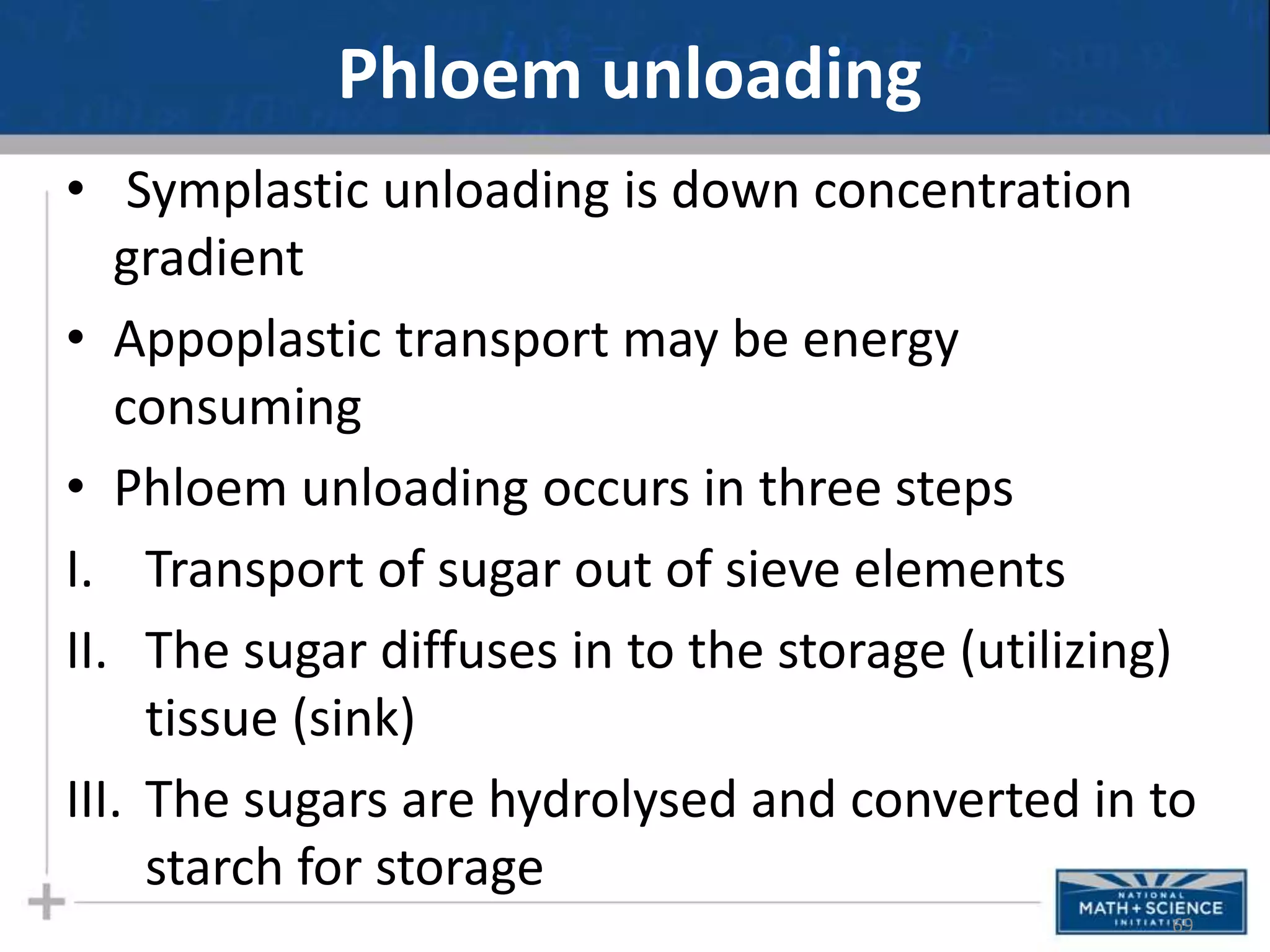 Phloem unloading
• Symplastic unloading is down concentration
gradient
• Appoplastic transport may be energy
consuming
• Phloem unloading occurs in three steps
I. Transport of sugar out of sieve elements
II. The sugar diffuses in to the storage (utilizing)
tissue (sink)
III. The sugars are hydrolysed and converted in to
starch for storage
69
 