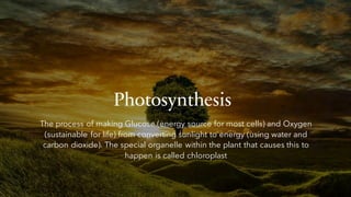 Photosynthesis
The process of making Glucose (energy source for most cells) and Oxygen
(sustainable for life) from converting sunlight to energy (using water and
carbon dioxide). The special organelle within the plant that causes this to
happen is called chloroplast
 