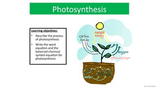 Understanding the Carbon Cycle and Climate Change Impacts on Earth | PPTX