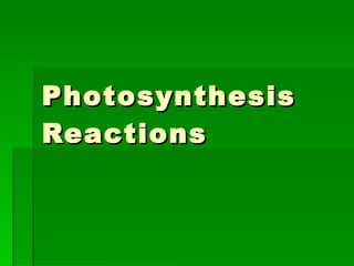 Photosynthesis Reactions 