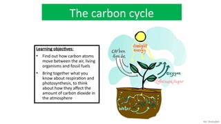 Understanding the Carbon Cycle and Climate Change Impacts on Earth | PPTX