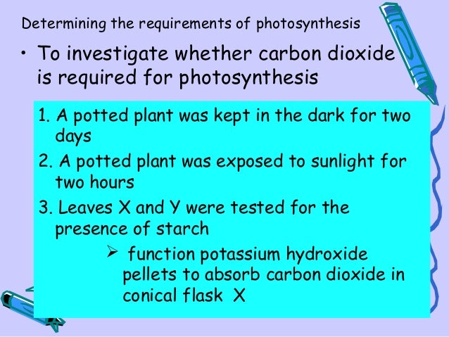 koh how co2 absorb Photosynthesis 2013 new