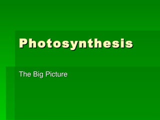 Photosynthesis The Big Picture 