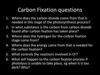 Carbon Fixation questions
1. Where does the carbon dioxide come from that is
needed in this stage of the photosynthesis process?
2. In what substance is the carbon from carbon dioxide
found after carbon fixation has taken place?
3. Where does the hydrogen for the carbon fixation
stage come from?
4. Where does the energy come from that is needed for
the carbon fixation?
5. What controls the reactions involved in CF?
6. What will happen to the carbon fixation process if
photolysis is unable to take place, eg when it is too
dark? Why?
 