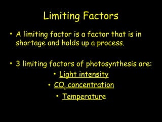 Limiting Factors
• A limiting factor is a factor that is in
shortage and holds up a process.
• 3 limiting factors of photosynthesis are:
• Light intensity
• CO2 concentration
• Temperature
 