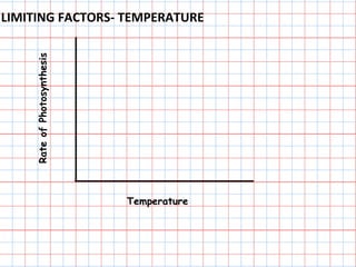 LIMITING FACTORS- TEMPERATURE
RateofPhotosynthesis
Temperature
 