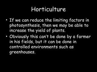 Horticulture
• If we can reduce the limiting factors in
photosynthesis, then we may be able to
increase the yield of plants.
• Obviously this can’t be done by a farmer
in his fields, but it can be done in
controlled environments such as
greenhouses.
 
