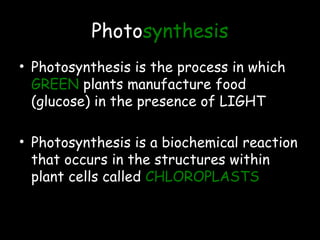 Photosynthesis
• Photosynthesis is the process in which
GREEN plants manufacture food
(glucose) in the presence of LIGHT
• Photosynthesis is a biochemical reaction
that occurs in the structures within
plant cells called CHLOROPLASTS
 