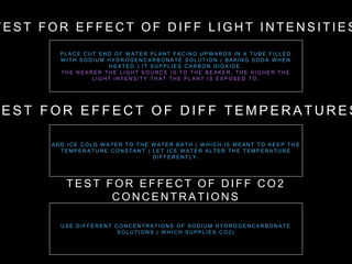 T E S T F O R E F F E C T O F D I F F L I G H T I N T E N S I T I E S
E S T F O R E F F E C T O F D I F F T E M P E R A T U R E S
P L A C E C U T E N D O F W A T E R P L A N T F A C I N G U P W A R D S I N A T U B E F I L L E D
W I T H S O D I U M H YD R O G E N C A R B O N A T E S O L U T I O N ( B A K I N G S O D A W H E N
H E A T E D ) I T S U P P L I E S C A R B O N D I O X I D E .
T H E N E A R E R T H E L I G H T S O U R C E I S T O T H E B E A K E R , T H E H I G H E R T H E
L I G H T I N T E N S I T Y T H A T T H E P L A N T I S E X P O S E D T O .
A D D I C E C O L D W A T E R T O T H E W A T E R B A T H ( W H I C H I S M E A N T T O K E E P T H E
T E M P E R A T U R E C O N S T A N T ) L E T I C E W A T E R A L T E R T H E T E M P E R A T U R E
D I F F E R E N T L Y.
T E S T F O R E F F E C T O F D I F F C O 2
C O N C E N T R A T I O N S
U S E D I F F E R E N T C O N C E N T R A T I O N S O F S O D I U M H YD R O G E N C A R B O N A T E
S O L U T I O N S ( W H I C H S U P P L I E S C O 2 )
 