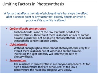 A factor that affects the rate of photosynthesis but stops the effect
after a certain point or any factor that directly affects or limits a
process if its quantity is altered
 