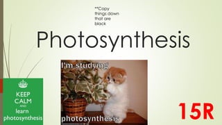 **Copy 
things down 
that are 
black 
Photosynthesis 
15R 
 