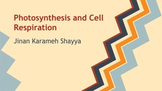 Photosynthesis and Cell 
Respiration 
Jinan Karameh Shayya 
 