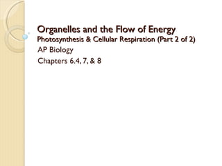 Organelles and the Flow of Energy Photosynthesis & Cellular Respiration (Part 2 of 2) AP Biology Chapters 6.4, 7, & 8 